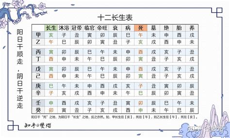 地支十二長生|【十二長生表】十二長生表詳解：瞭解你的八字五行運勢